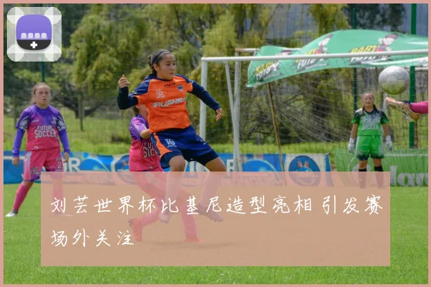 刘芸世界杯比基尼造型亮相 引发赛场外关注