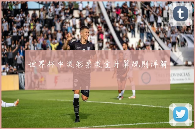 世界杯中奖彩票奖金计算规则详解