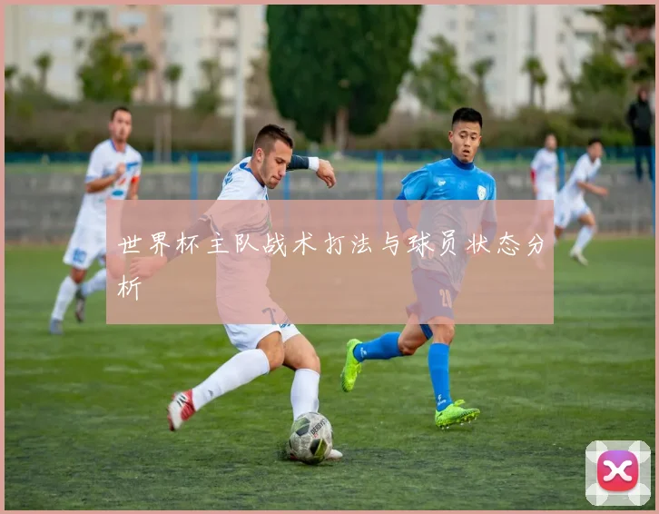 世界杯主队战术打法与球员状态分析