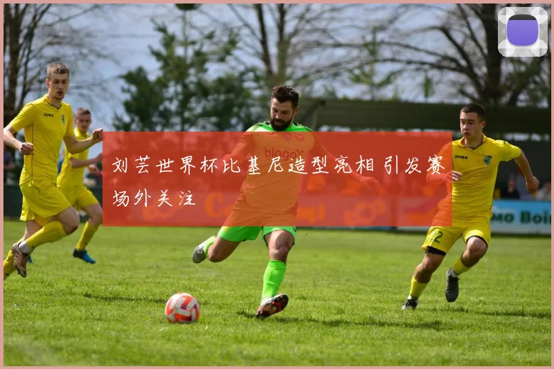 刘芸世界杯比基尼造型亮相 引发赛场外关注
